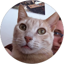 ifatgross profile picture